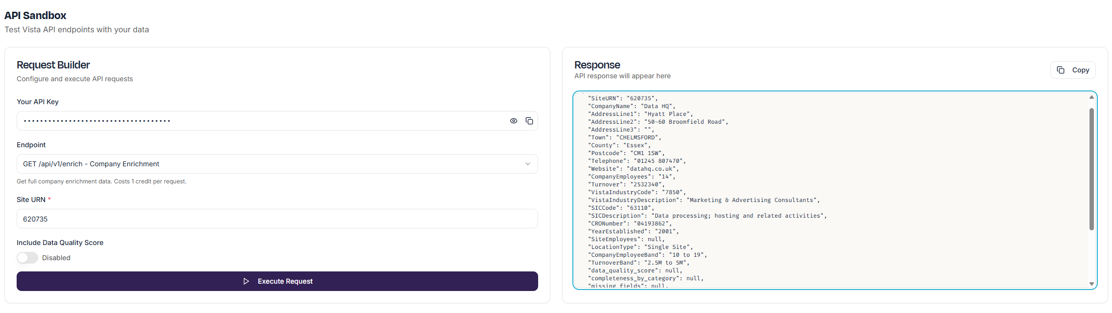 VistaConnect API sandbox showing a company enrichment request and JSON response with company details
